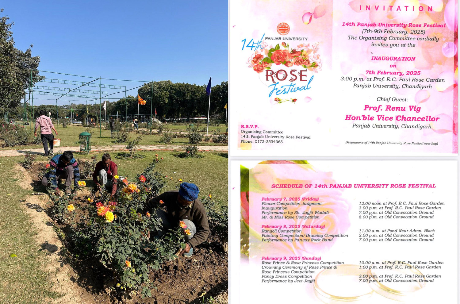 Panjab University (PU), Chandigarh is all set to host the 14th Panjab University Rose Festival from February 7.